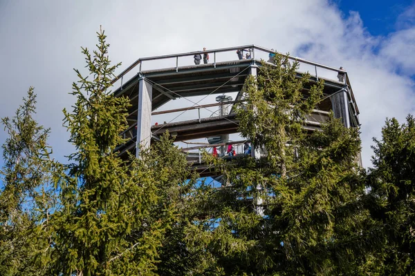 Treetop Walkway Stezka Korunami Stromu Par Temps Ensoleillé Lipno Nad — Photo