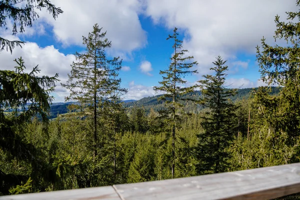 Panorama Över Sumanas Nationalpark Kramolin Och Slupecny Vrch Från Treetop — Stockfoto