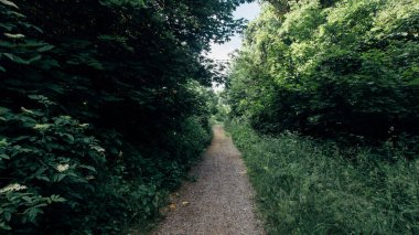 Çimen tarlası ve yeşil çevre parkı doğal zemin olarak kullanılıyor.