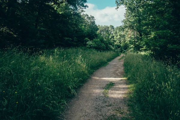 Paisagem do campo de grama e ambiente verde uso do parque público como fundo natural, pano de fundo — Fotografia de Stock