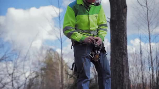 Arborist üzerinde tırmanma bir kemer koyar — Stok video