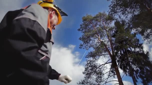 Arborist sträcker sig repet till toppen av trädet — Stockvideo