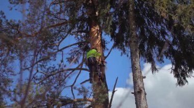 bir düğüm bir ağaç üzerinde arborist kısmak