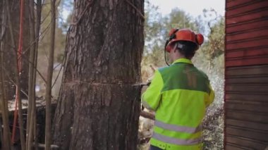 İş giysisi veya ağaç gövde chainsaw oduncu