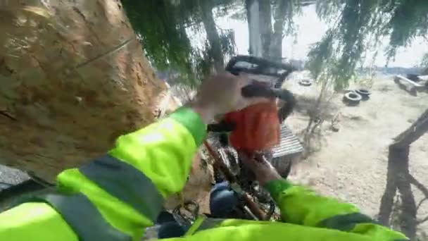 Oduncu bir chainsaw pov başlar — Stok video