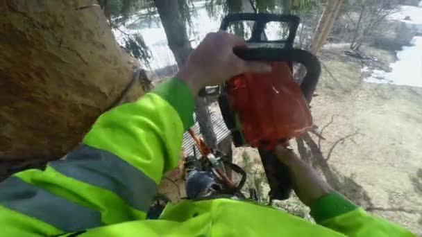 Arboriste démarre une tronçonneuse pov — Video