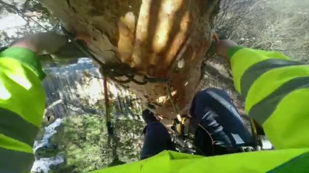 Klimmer klimt een boom pov — Stockvideo
