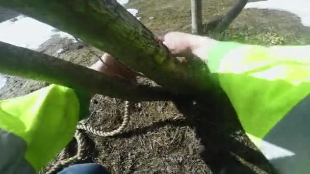 伐木工人确保保险到支持点的波夫 — 图库视频影像