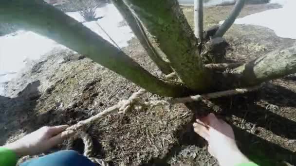 Lumberjack garante seguro para pontos de apoio POV — Vídeo de Stock