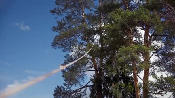 Kötélen lóg a levegőben, amely csökkenni fog a fa — Stock videók