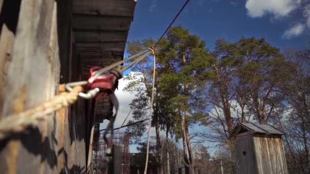 Albero cadere a terra con un sistema di corda — Video Stock