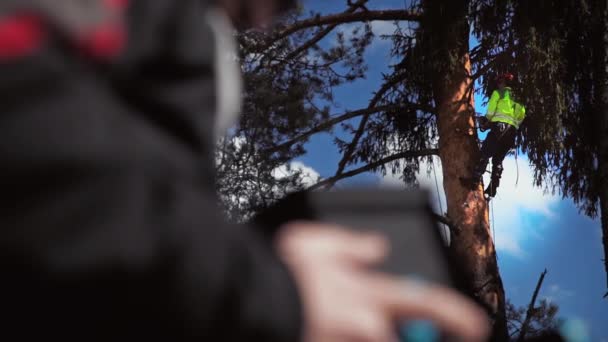 在无人机飞行员的雄手的脱焦处, 一名伐木工人在前景中砍树 — 图库视频影像