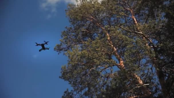Μπλε copter εξετάζει ένα δέντρο — Αρχείο Βίντεο