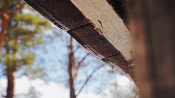 Gotas de água derretida caindo do telhado — Vídeo de Stock