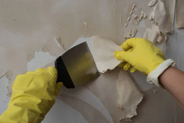 Przygotowanie Ściany Malowania Lub Przyklejania Nową Tapetę Człowiek Rękawice Żółty — Zdjęcie stockowe
