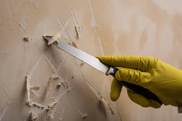 Voorbereiding Van Muur Voor Het Schilderen Het Plakken Van Nieuwe — Stockfoto