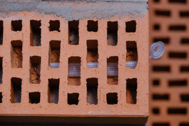 Bir kırmızı bina tuğla hücresel boşlukları ile kimyasal bir çapa yükleme aşaması. Builder eylemlerinin doğruluğunu gösteri. Yakın çekim.