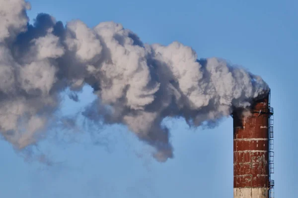 Beaucoup Fumée Blanche Sort Une Grande Usine Cogénération Brique Haute — Photo