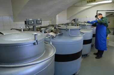 Vavilov Bitki Araştırma Enstitüsü. extr 'de depolama laboratuvarı