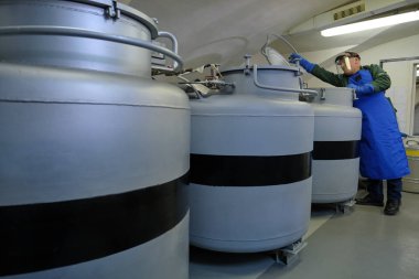 Vavilov Bitki Araştırma Enstitüsü. extr 'de depolama laboratuvarı