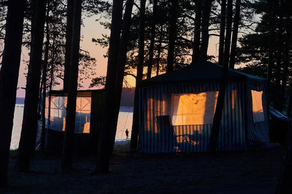 Geschlossenes Stoffzelt Ufer Des Finnischen Meerbusens Einem Kiefernwald Wird Von — Stockfoto