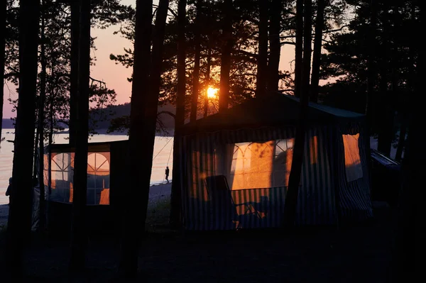 松林のフィンランド湾の海岸にある閉じた布のテントは 夕日によって美しく照らされています 蚊や昆虫に対する保護として機能します キャンプ場 — ストック写真