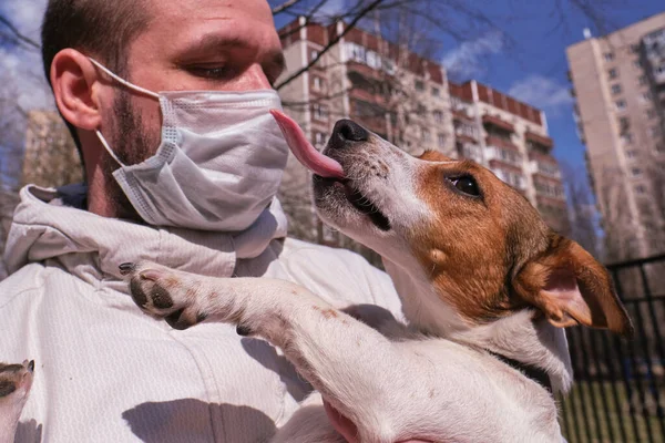 30-40 old man in a surgical mask protective against coronavirus holds a purebred dog Jack Russell in his arms, she seeks to kiss, lick his master, caresses  shows  good mood and the need  affection
