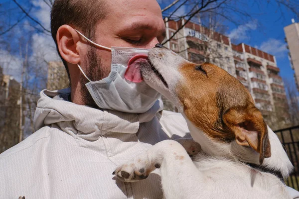 30-40 old man in a surgical mask protective against coronavirus holds a purebred dog Jack Russell in his arms, she seeks to kiss, lick his master, caresses  shows  good mood and the need  affection