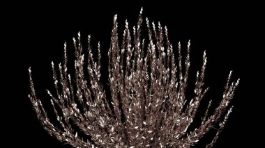 Altın çiçek kağıdı ve çimen. 3d illüstrasyon, 3d canlandırma.