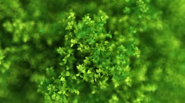 Yapraklarla dolu güzel bir yaz geçmişi var. 3d görüntüleme, 3d illüstrasyon.