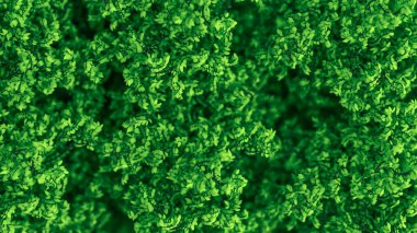 Yapraklarla dolu güzel bir yaz geçmişi var. 3d görüntüleme, 3d illüstrasyon.