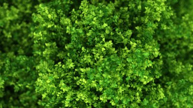 Yapraklarla dolu güzel bir yaz geçmişi var. 3d görüntüleme, 3d illüstrasyon.