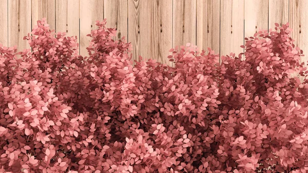 Prachtige Roze Achtergrond Met Bladeren Houttextuur Seizoen Van Het Jaar — Stockfoto