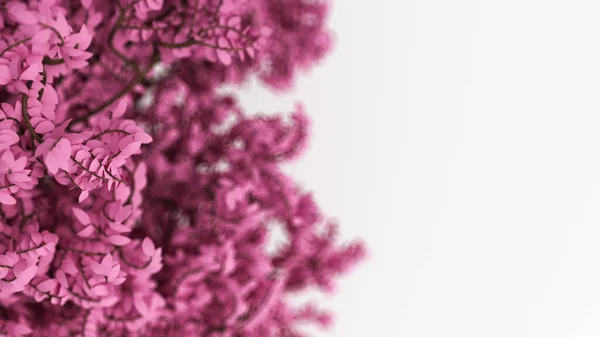 Piękne Różowe Tło Liśćmi Białym Tle Pora Roku Renderowanie Ilustracja — Zdjęcie stockowe
