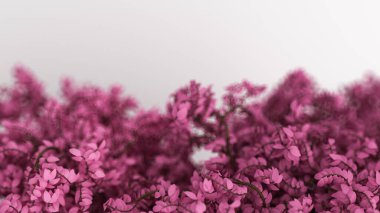 Yılın mevsimi, beyaz yapraklı, güzel pembe arka plan. 3d görüntüleme, 3d illüstrasyon.