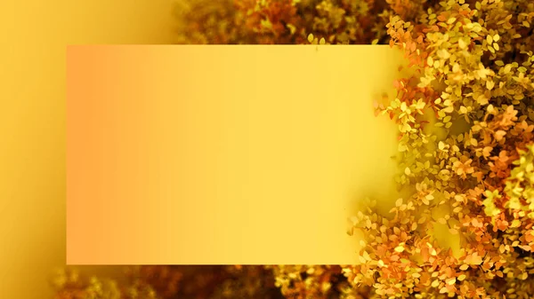 Красивый Осенний Фон Листьями Рамкой Рендеринг Иллюстрация — стоковое фото