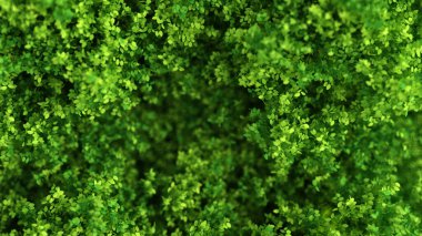 Yapraklarla dolu güzel bir yaz geçmişi var. 3d görüntüleme, 3d illüstrasyon.