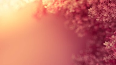 Yılın mevsimi yapraklı, güzel pembe bir arka plan. 3d görüntüleme, 3d illüstrasyon.