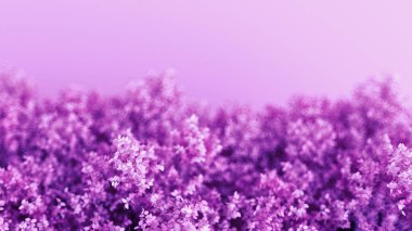 Yaprakları olan güzel mor bir arkaplan, yıllık 3D çizim mevsimi, 3D çizim.