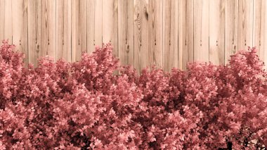 Beautiful pink background with leaves and wood texture, season of the year. 3d rendering, 3d illustration. clipart