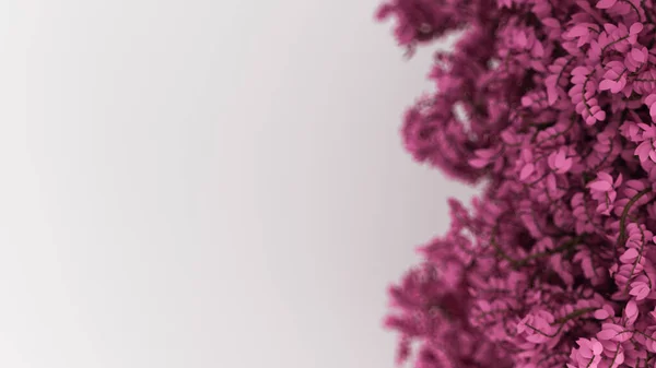 白い葉で美しいピンクの背景 今年の季節 3Dレンダリング 3Dイラスト — ストック写真