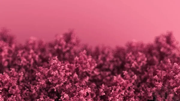 Hermoso Fondo Rosa Con Hojas Temporada Del Año Representación Ilustración — Foto de Stock