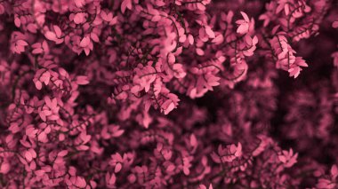 Yılın mevsimi yapraklı, güzel pembe bir arka plan. 3d görüntüleme, 3d illüstrasyon.