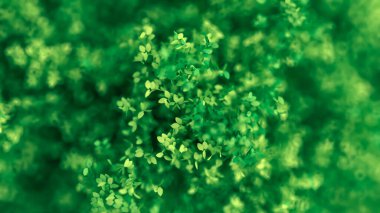 Yapraklarla dolu güzel bir yaz geçmişi var. 3d görüntüleme, 3d illüstrasyon.