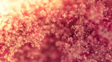 Yılın mevsimi yapraklı, güzel pembe bir arka plan. 3d görüntüleme, 3d illüstrasyon.