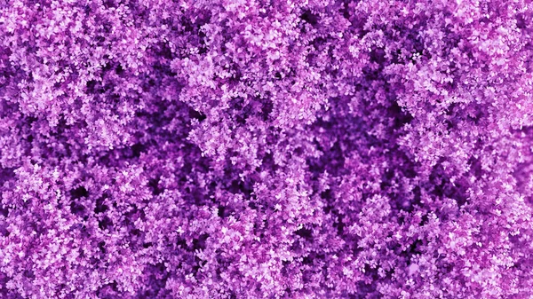 Прекрасний Фіолетовий Фон Листям Сезон Рендеринга Ілюстрація — стокове фото