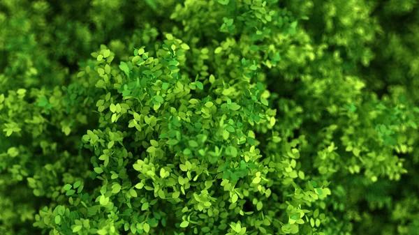 Yapraklarla dolu güzel bir yaz geçmişi var. 3d görüntüleme, 3d illüstrasyon.