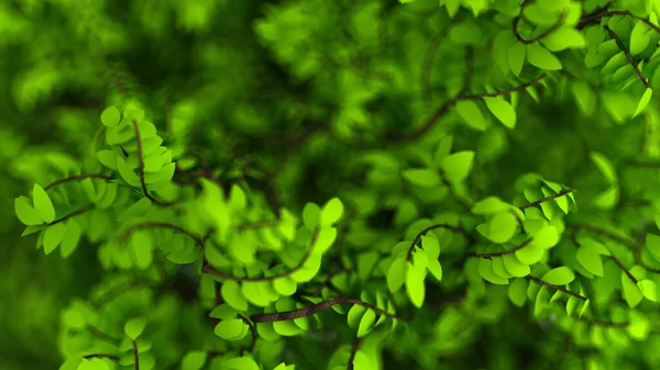 Schöne Sommer Hintergrund Mit Blättern Darstellung Illustration — Stockfoto