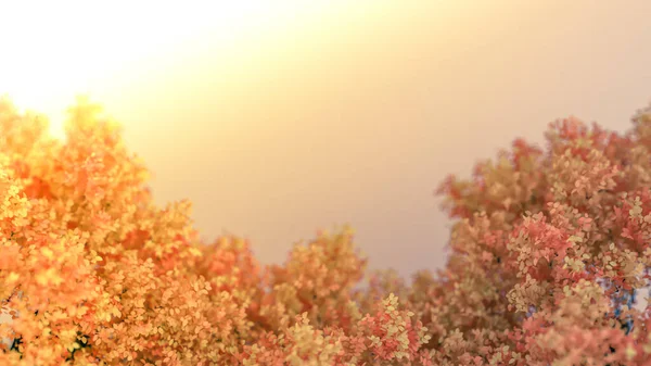 Mooie Herfst Achtergrond Met Bladeren Witte Ruimte Weergave Illustratie — Stockfoto