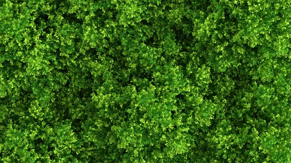 Prachtige Zomerse Achtergrond Met Bladeren Weergave Illustratie — Stockfoto